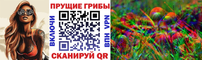 Псилоцибиновые грибы прущие грибы как найти закладки Менделеевск